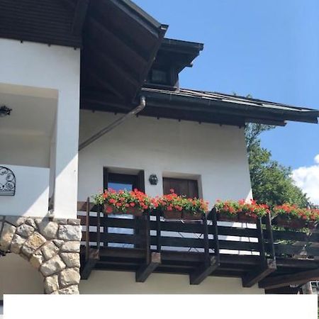 La Casa Di Monte Ricco Apartment Pieve di Cadore Bagian luar foto