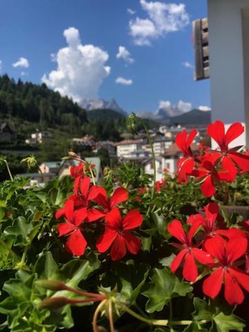 La Casa Di Monte Ricco Apartment Pieve di Cadore Bagian luar foto