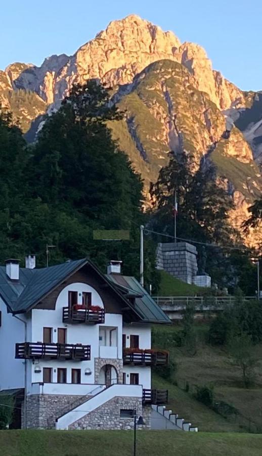 La Casa Di Monte Ricco Apartment Pieve di Cadore Bagian luar foto