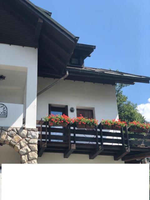 La Casa Di Monte Ricco Apartment Pieve di Cadore Bagian luar foto