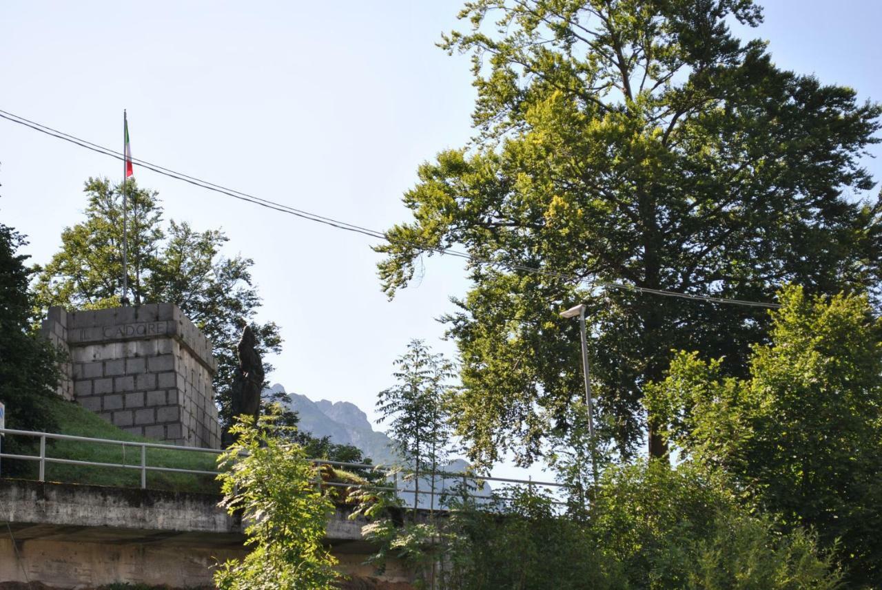 La Casa Di Monte Ricco Apartment Pieve di Cadore Bagian luar foto