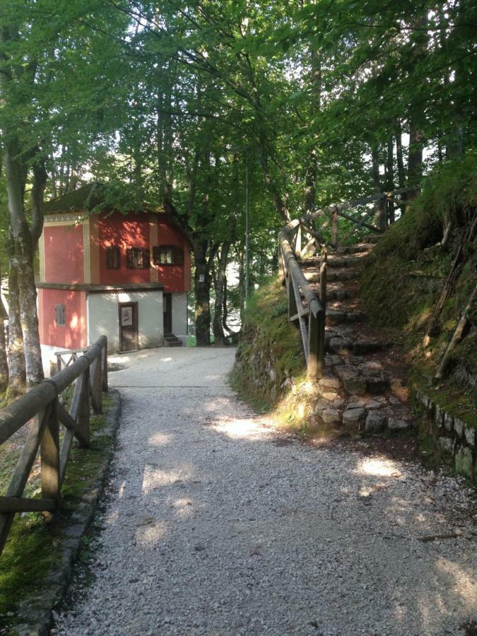 La Casa Di Monte Ricco Apartment Pieve di Cadore Bagian luar foto