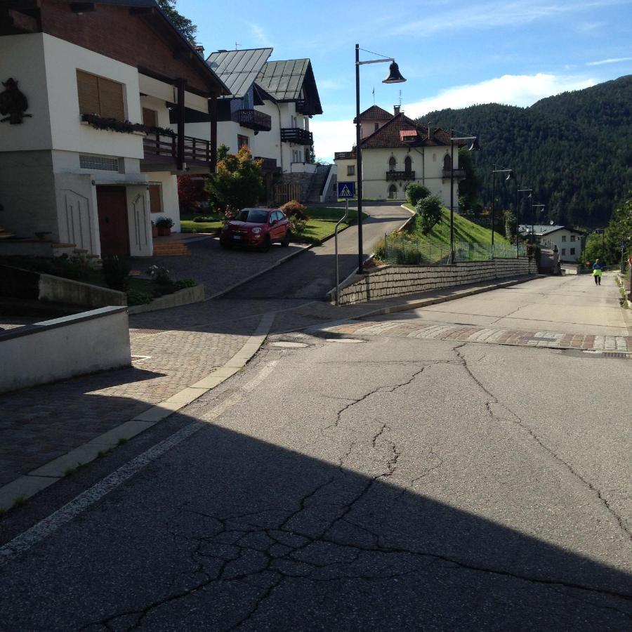 La Casa Di Monte Ricco Apartment Pieve di Cadore Bagian luar foto